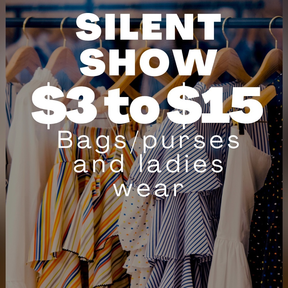 Silent Auction NOW!!!  Come join the closet clearout Now!!!  $3 to $10 Starts!​